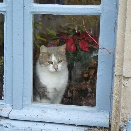 Les Pesques B&B *